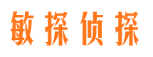 青山湖侦探公司